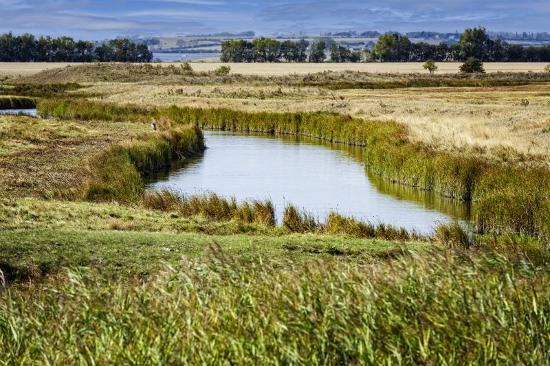 Drainage Swale Installation