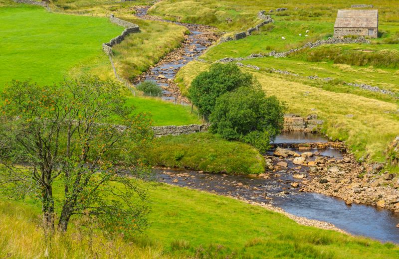 Drainage Swale Installation