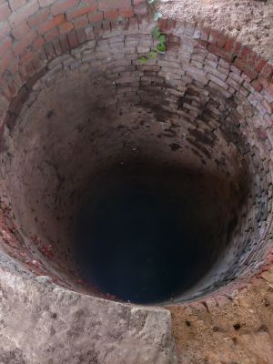 Drywell Service