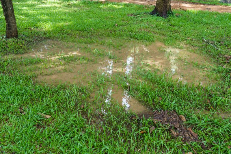 Residential Landscape Drainage