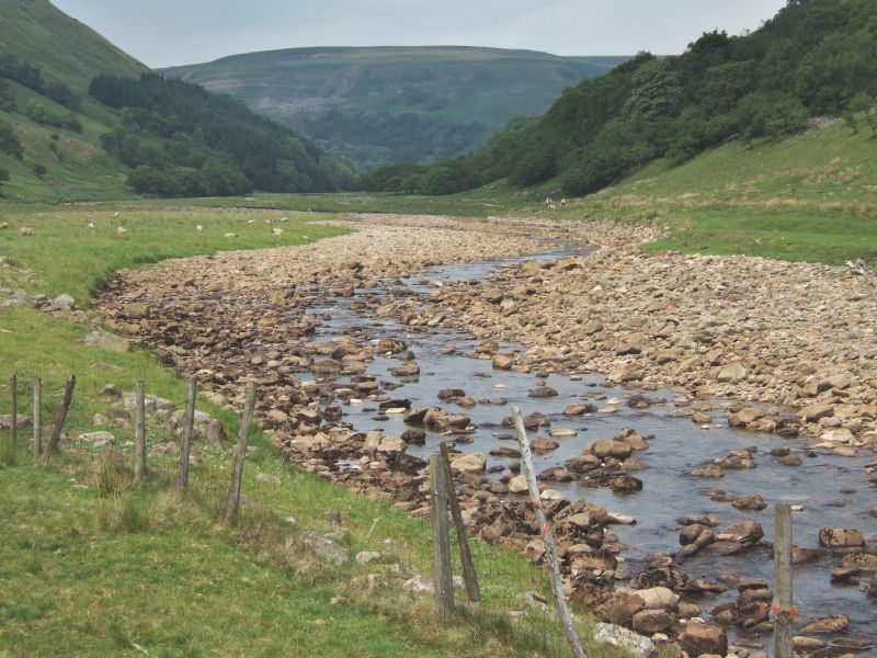Swale Installation