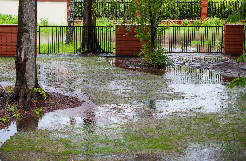 Wet Yard Drainage
