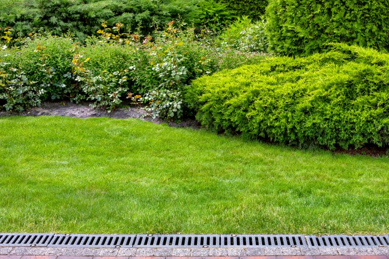 Yard Drainage Service